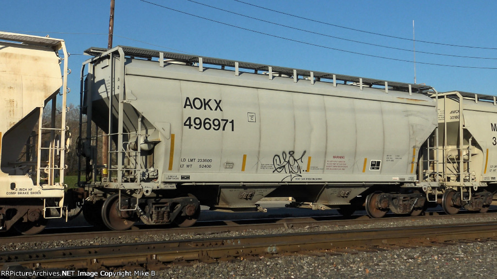 AOKX 496971